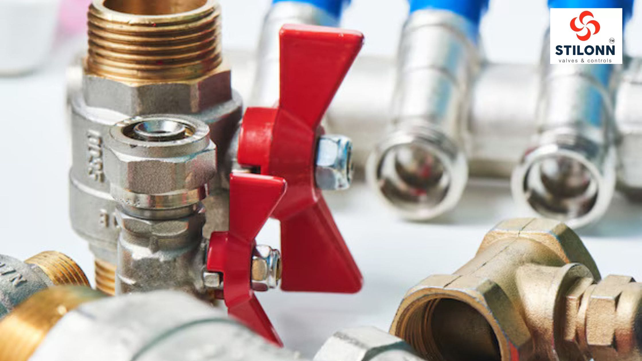 A set of Sanitary Valve