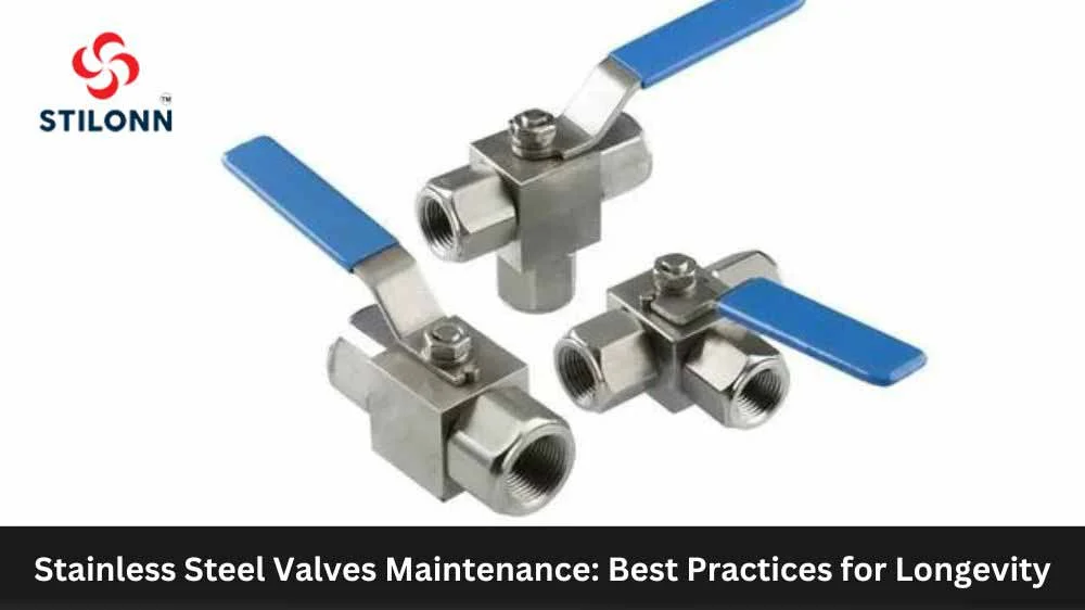 Stainless Steel Valves